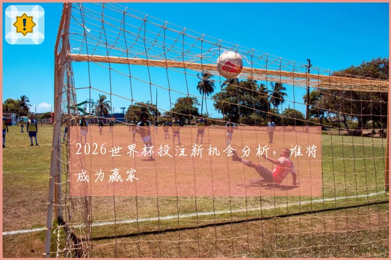 2026世界杯投注新机会分析，谁将成为赢家