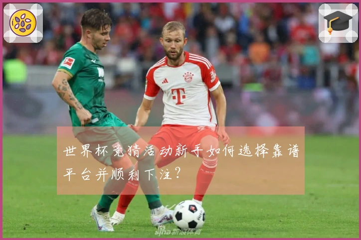 世界杯竞猜活动新手如何选择靠谱平台并顺利下注？