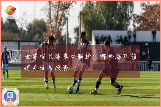世界杯买球盘口解析：哪些球队值得关注与投资
