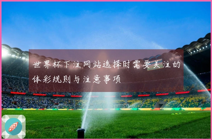 世界杯下注网站选择时需要关注的体彩规则与注意事项