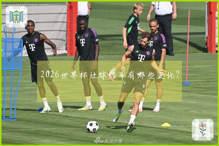2026世界杯让球赔率有哪些变化？