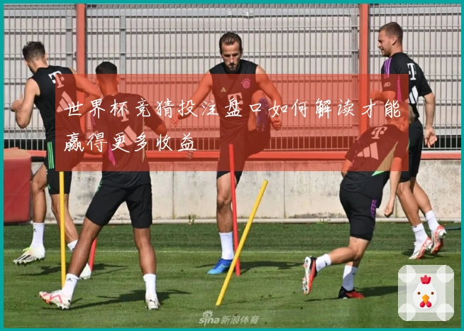 世界杯竞猜投注盘口如何解读才能赢得更多收益