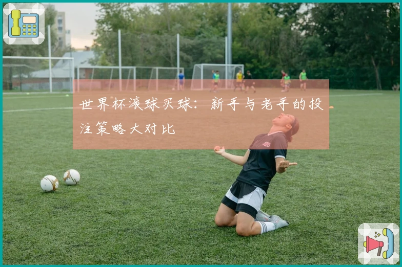 世界杯滚球买球：新手与老手的投注策略大对比