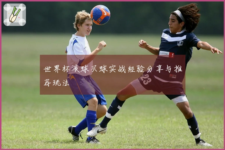 世界杯滚球买球实战经验分享与推荐玩法