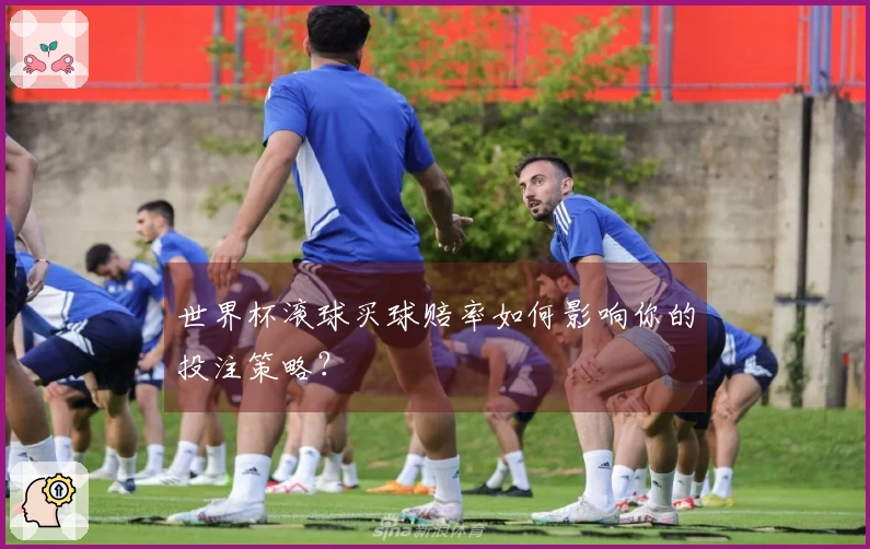 世界杯滚球买球赔率如何影响你的投注策略？