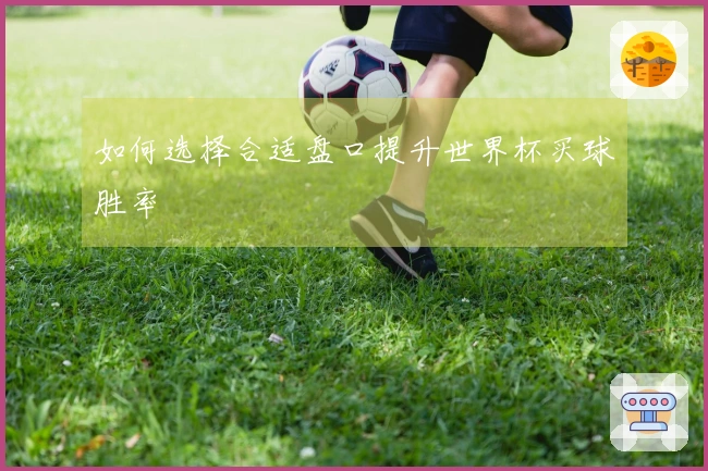 如何选择合适盘口提升世界杯买球胜率