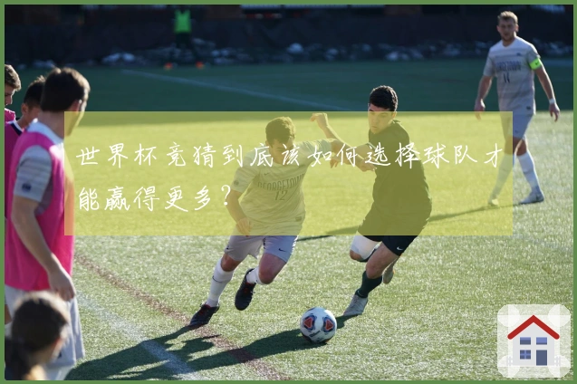 世界杯竞猜到底该如何选择球队才能赢得更多？