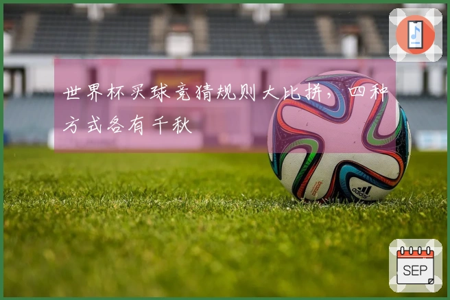 世界杯买球竞猜规则大比拼，四种方式各有千秋