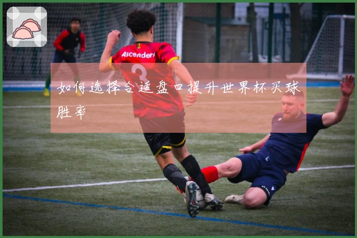 如何选择合适盘口提升世界杯买球胜率