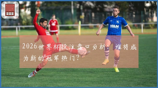 2026世界杯投注盘口分析：谁将成为新的冠军热门？