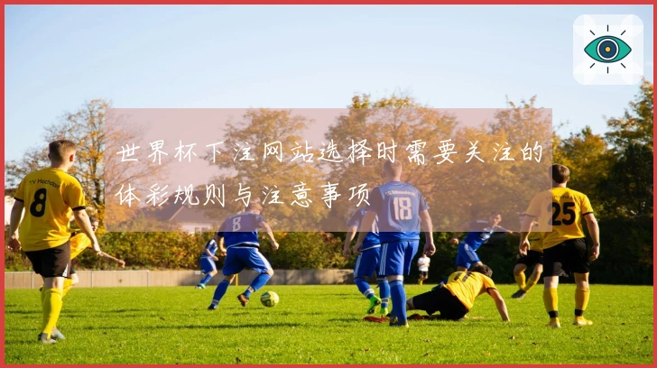 世界杯下注网站选择时需要关注的体彩规则与注意事项